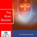 The Brain Booster PDF