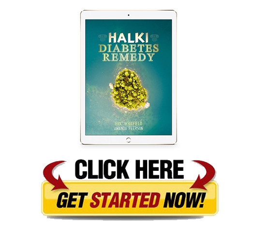 Download Halki Diabetes Remedy PDF