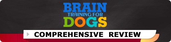 Brain Training for Dogs Review