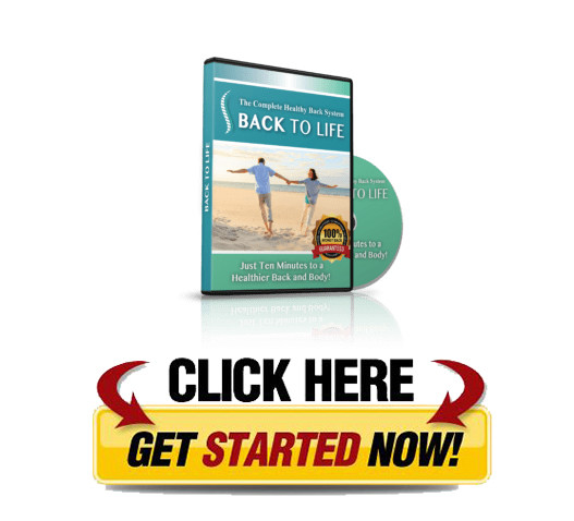 Download Back to Life 3 Level Healthy Back System PDF