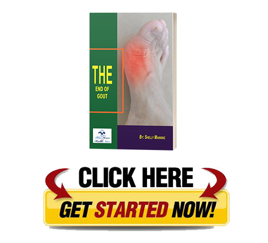 download End of Gout PDF