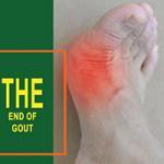 End of Gout PDF