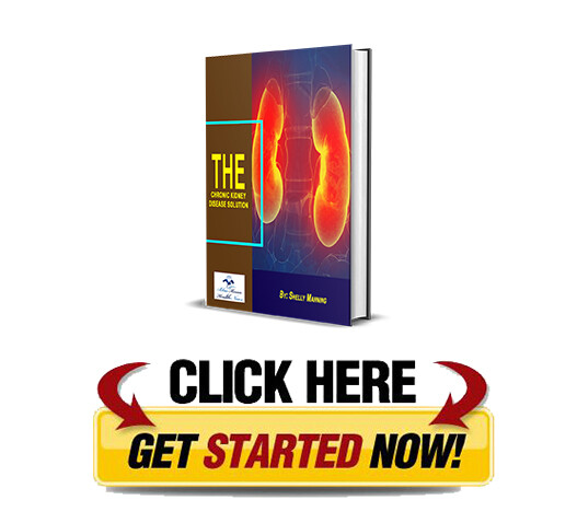 Download The Chronic Kidney Disease Solution PDF