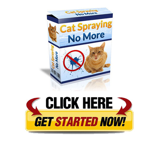 Download Cat Spraying No More PDF
