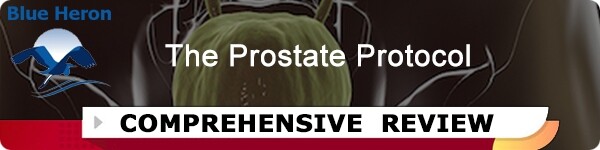 The Prostate Protocol Review